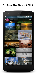 Inflikr for Flickr(圖1)-速報App