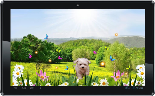 免費下載個人化APP|Spring Puppy live wallpaper app開箱文|APP開箱王
