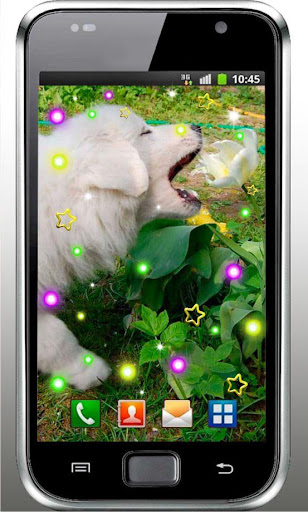 Dogs 2014 HD live wallpaper