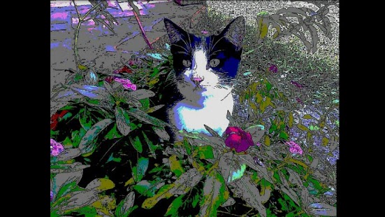 download Hand-Drawn Camera PRO free