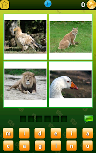 Ghiceste Cuvantul(圖2)-速報App