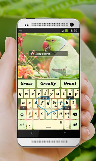 免費下載個人化APP|綠鸚鵡 TouchPal Theme app開箱文|APP開箱王
