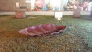 The Leaf at Cultural Centre Museum