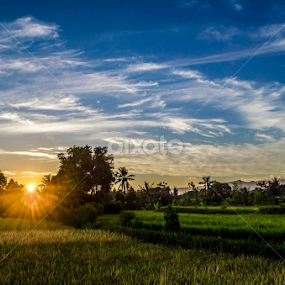 by Anders Riise - Landscapes Prairies, Meadows & Fields