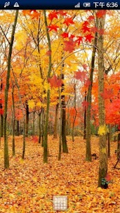 How to download Maple Leaf Live Wallpaper 4.0 unlimited apk for pc
