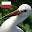 Polish Birds English Version Download on Windows