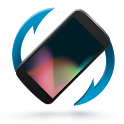 Display orientator icon