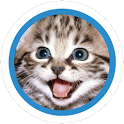 Kittens Icons icon