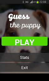 Guess the puppy poster 1