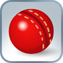 Practice Cricket logo