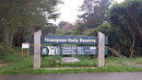 Thompson Gully Reserve