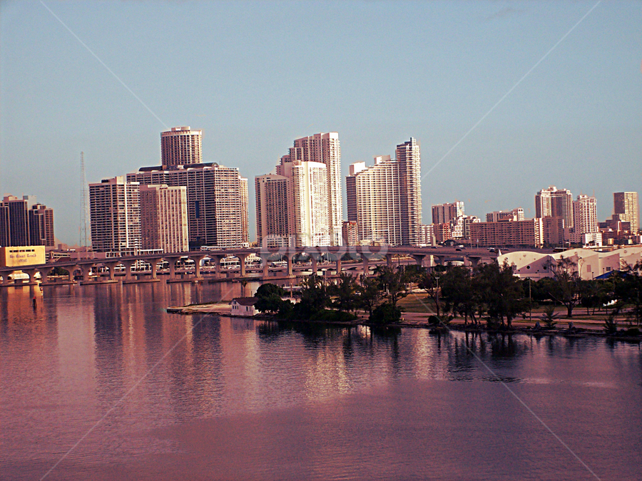 Miami by Lora Long - City,  Street & Park Skylines