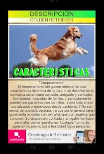 GOLDEN RETRIEVER Screenshots 1