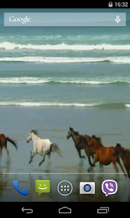 Amazing horses Video LWP(圖2)-速報App