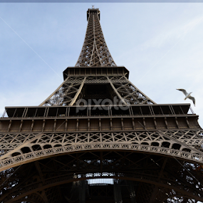 EIFFEL TOWER by Irmantas Baltrusaitis - Buildings & Architecture Public & Historical