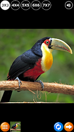 Tile Puzzle: Birds poster 9