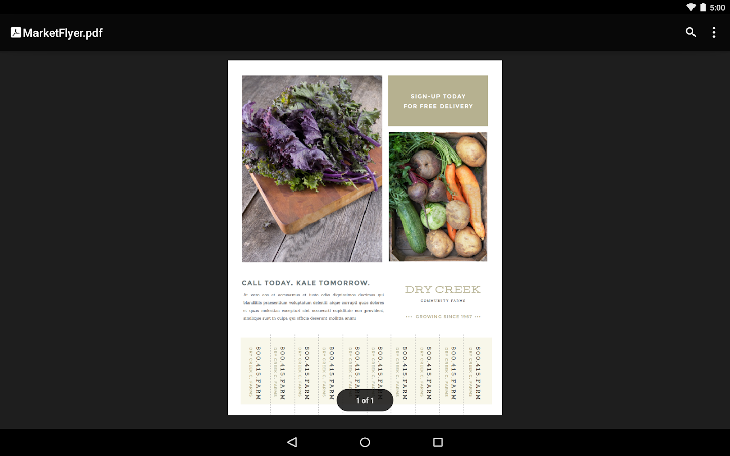 تحميل Google PDF Viewer الاصدار 2.2.474.24.30 APK ...