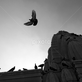 by Rahul Joshi - Instagram & Mobile Android