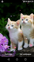 Cute Cat Live Wallpaper APK Ekran Görüntüsü Küçük Resim #1