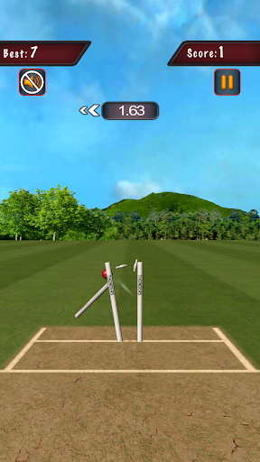 【免費體育競技App】World Cup Flick Cricket 2015-APP點子