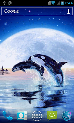 Dolphins at moonlit night LWP