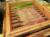 藍象廷泰鍋 (已歇業)