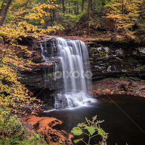 Harrison Wright Falls by Michael Sharp - Landscapes Waterscapes