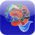 What Color is Your Brain? logo