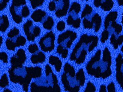 √完了しました！ ヒョウ 柄 可愛い 壁紙 234436