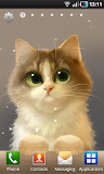 Tummy The Kitten Lite
