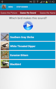 Spanish Birds Sounds(圖5)-速報App