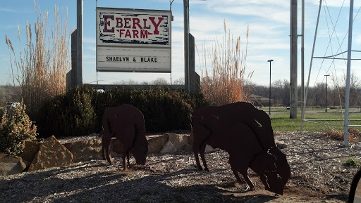 Eberly Farm Bison
