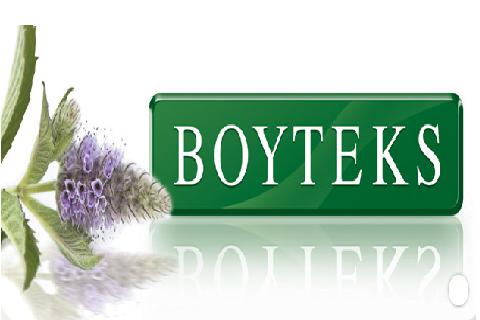 BOYTEKS