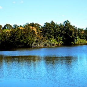 Where Greens meet with Blues by Mominul Haque - Landscapes Forests