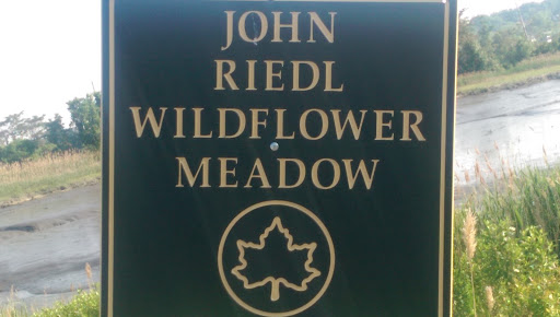 John Riedl Wildflower Meadow 
