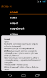 Russian Italian Dictionary