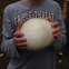 Giant puffball