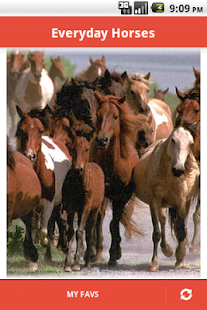 Free Poney & Horse APK