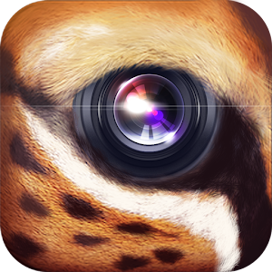 WildCam 1.2