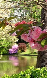 How to mod spring wallpaper patch 1.0 apk for android