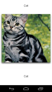 Animal Sounds for Kids(圖6)-速報App