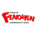 FENOMEN logo