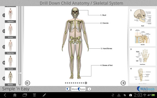 【免費書籍App】Drill Down Child Anatomy-APP點子