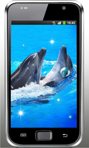 Dolphins Voice live wallpaper