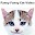Funny Funny Cat Videos Download on Windows