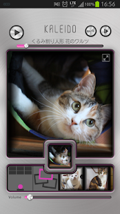 Download KALEIDOにゃんこ〜音色は愛し小さな君と〜 APK