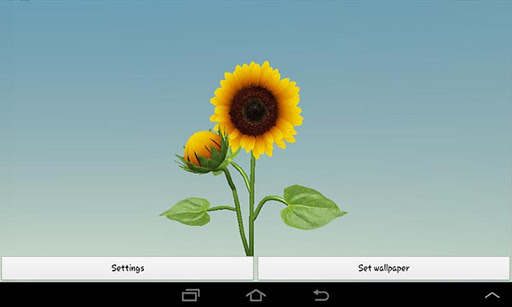 【免費個人化App】3D Sunflower Live Wallpaper-APP點子