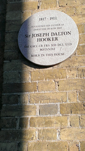 Hooker House