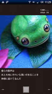 Download カエルのうた APK for Android