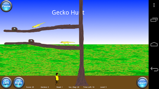 Gecko Hunt